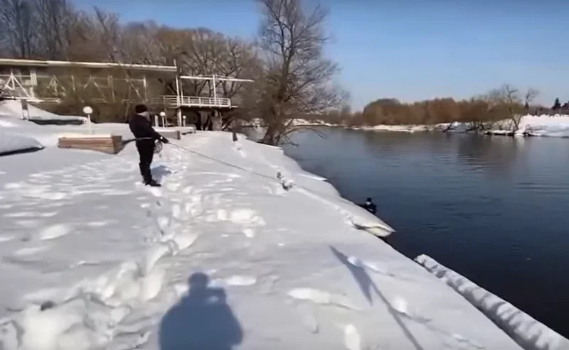 Пропавшую 7 марта в Звенигороде девочку нашли мёртвой в Москве-реке, Март