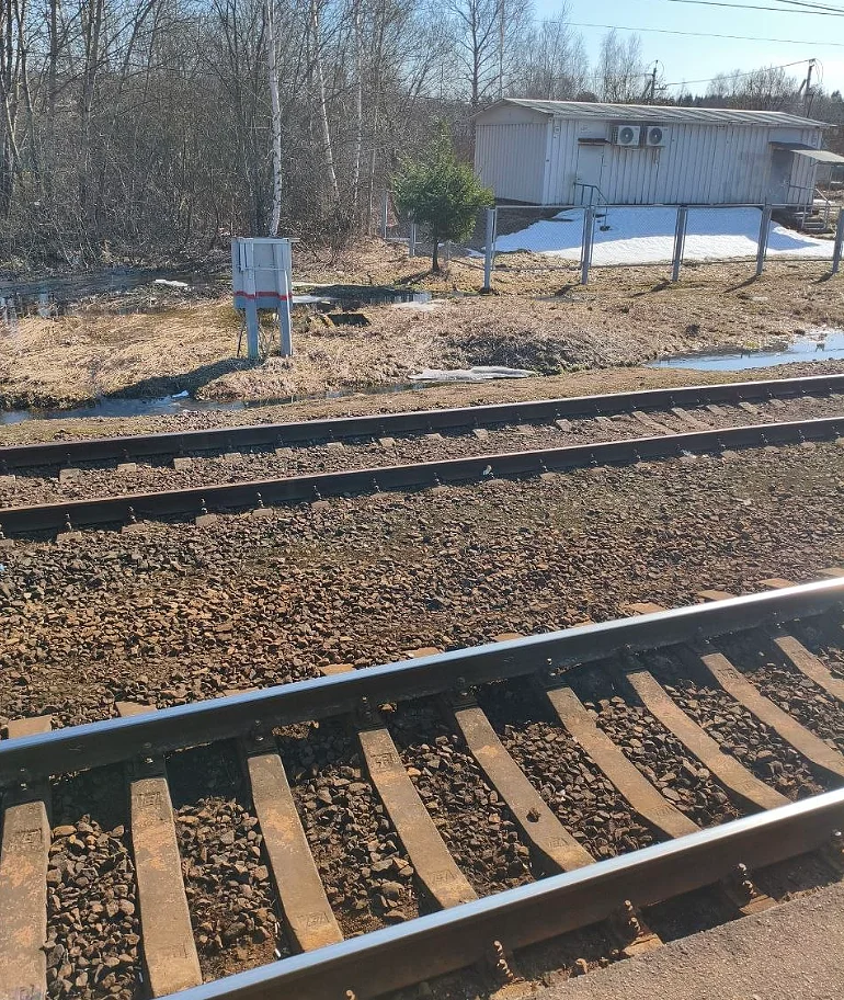 Мужчина погиб под колёсами электрички на ж/д станции «Петелино» в Одинцовском округе, Апрель