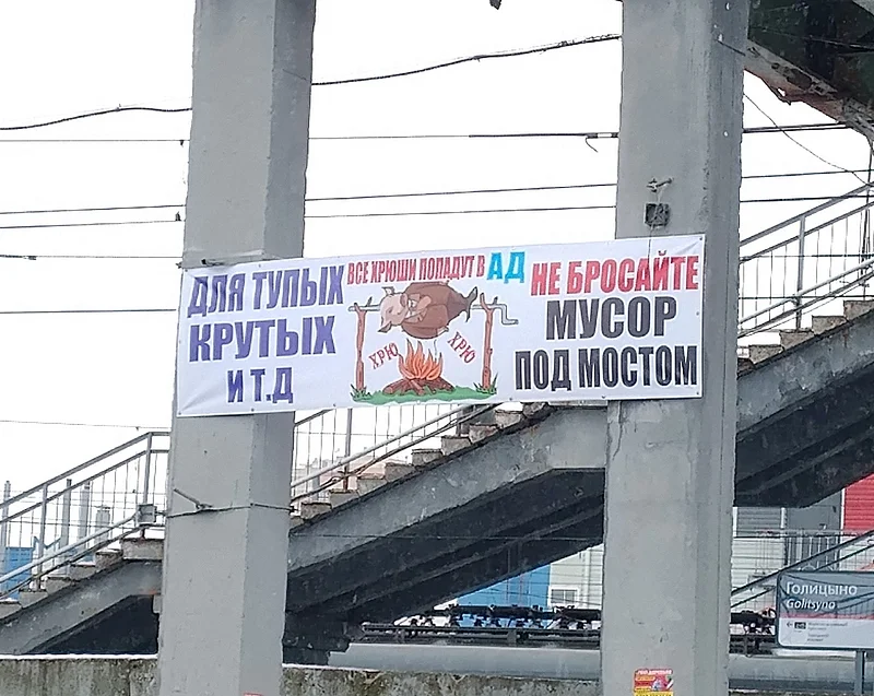 «Для тупых крутых и т. д. Не бросайте мусор под мостом», «Все хрюши попадут в ад»: на пешеходный мост в Голицыно повесили баннер с призывом не мусорить