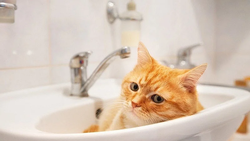 Стал известен график плановых отключений горячей воды 2026 в Одинцовском округе, Апрель