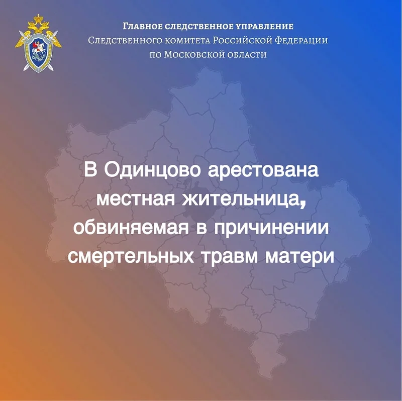В Одинцово суд арестовал женщину, которая насмерть забила пожилую мать, Май