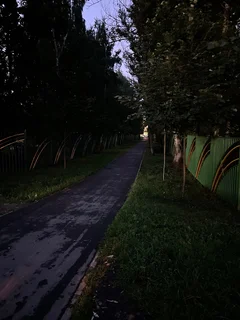Пешеходная дорожка между двумя детсадами без уличного освещения