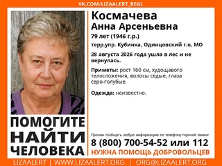 Ушла в лес и не вернулась: в Одинцовском округе ищут пропавшую пенсионерку