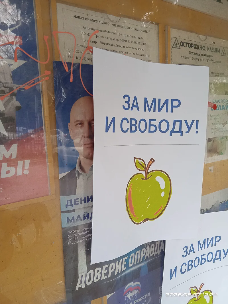 Выборы 2026, itdoc
