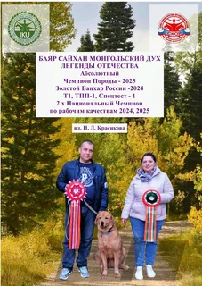 Владельцы