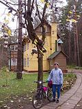 Переделкино. Дом-музей Чуковского. Чудо-дерево