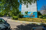 Граффити на торце Чикина 6: акула, рыбки