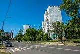 Граффити на торце Чикина 4: осьминожка, рыбки и кораллы