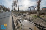 Северная улица, 62, через дорогу