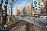 Северная улица, 62, через дорогу