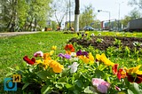 Фото: Одинцово готовится к празднованию 9 мая