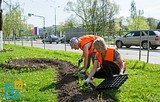 Фото: Одинцово готовится к празднованию 9 мая