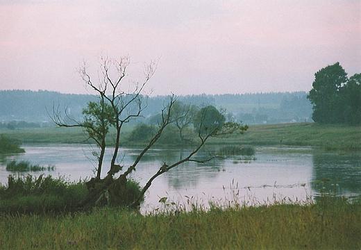 Утро или вечер ?, Павел Петров (Nelton), , Одинцово, Одинцовский район, выборы, Nelton