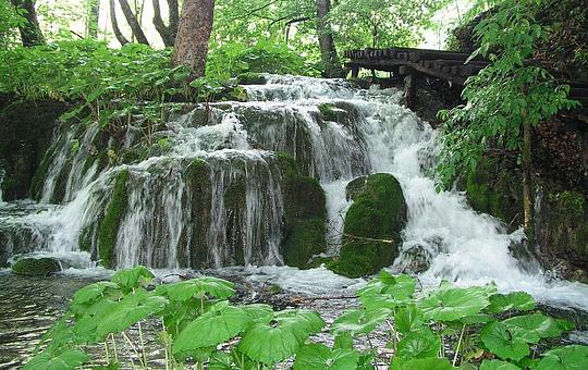 Живая вода, Природа, Kapral