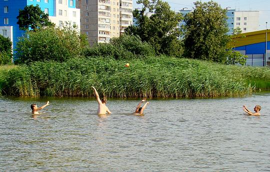 ...Игру устроили в пруду.., «Баранка» (центральный пруд), feneek