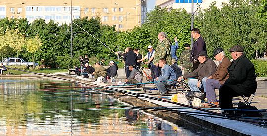 Рыбу завезли! :), «Баранка» (центральный пруд), центр, рыбаки, feneek