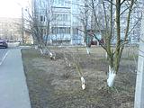 ДТП с наездом на 2-х человек ул. Говорова