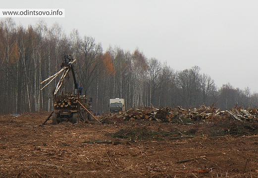 Вырубка Подушкинского лесопарка, объездная дорога