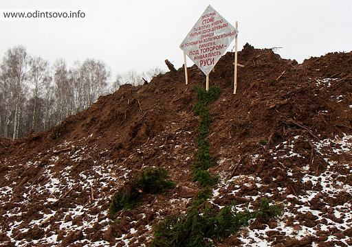 Вырубка Подушкинского лесопарка, объездная дорога