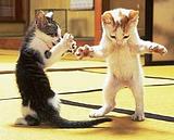 Победителю вот такой приз от НАС!!