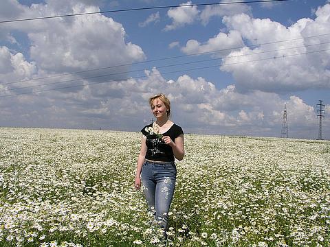 Елена МОРОЗ - я,ромашки и облака, Жизнь города, elen-moroz11