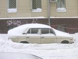 Природа решила сделать из "шахи" "Ламборджини"