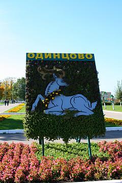 Герб города Одинцово, Уличная культура, krokus57