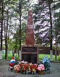 д.Шульгино. Памятник погибшим во время войны односельчанам.