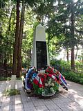 д. Кобяково (кладбище). Братская могила погибших воинов.