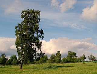 Рядом с Северной