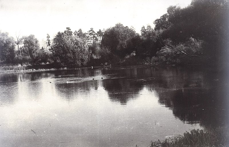 Банные пруды.1982 г., Одинцово ретро, фотограф Волосатов Н. Ф., ilbor