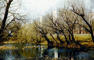 Прошлое банного пруда…
Фотогалерея автора http://аникол. рф/