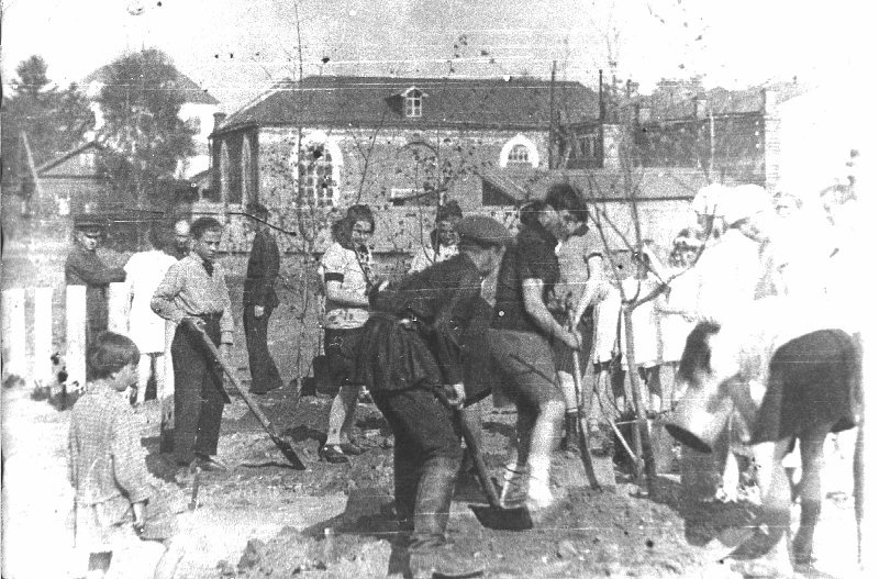 Субботник - день леса в Звенигороде, 1929 год, Одинцово ретро, isdead