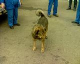 Душа коллектива...