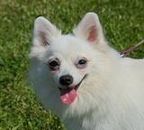 Выставка 18 июля