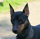 Выставка 18 июля