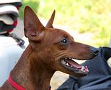 Выставка 18 июля