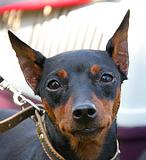 Выставка 18 июля