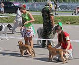 Выставка 18 июля