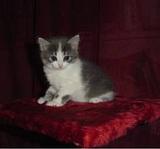 Мы маленькие.