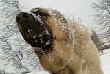 пахнет ..зимой..