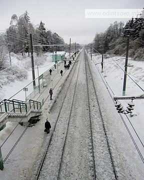 Ст. Пионерская, Лесной городок, п. ВНИИССОК (Дубки), Бородки, alexander_ermoshin