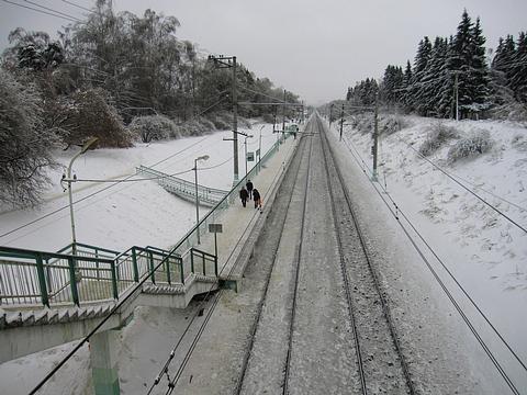 Ст. Пионерская, Лесной городок, п. ВНИИССОК (Дубки), Бородки, alexander_ermoshin