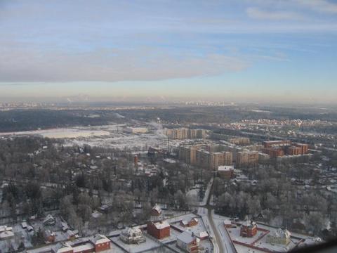 Фото лесной городок