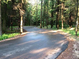Лыжероллерная трасса