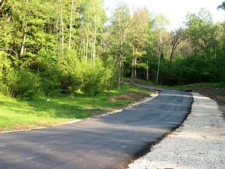 Лыжероллерная трасса