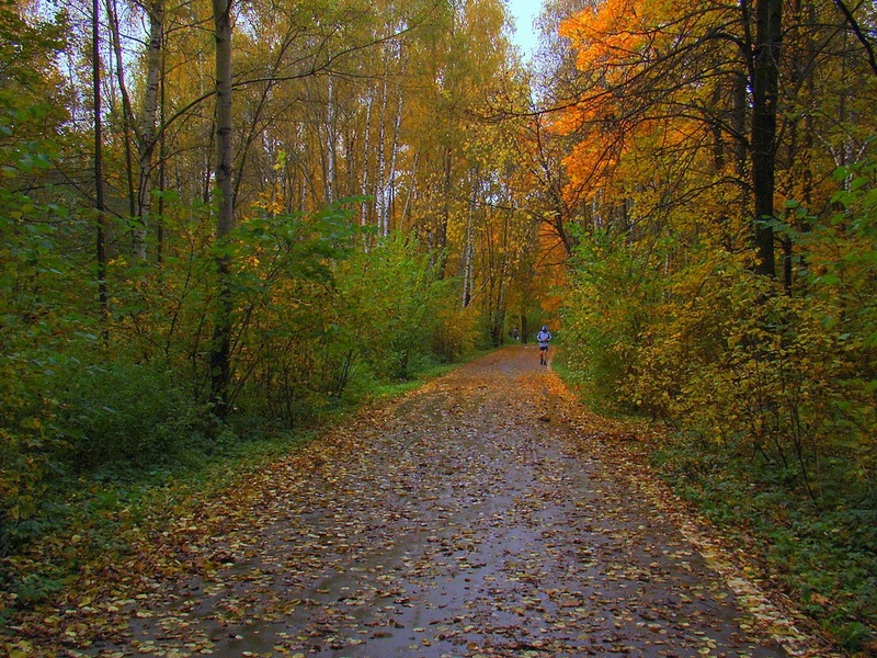 Спортивный парк отдыха имени Ларисы Лазутиной, feneek