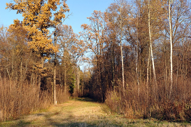 Осень, Спортивный парк отдыха имени Ларисы Лазутиной, ando