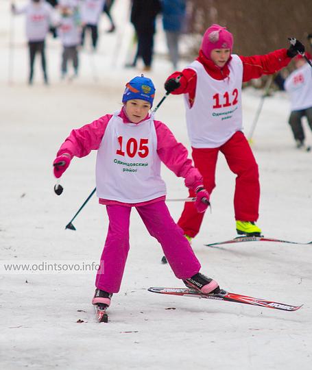 Манжосовская лыжная гонка 2013, alexander_ermoshin