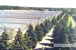 Тепличный комбинат "Матвеевский"